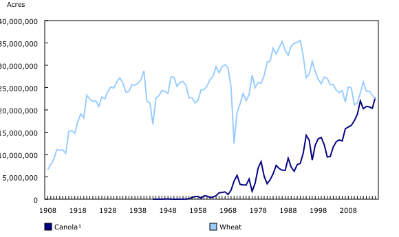 Canadian canola and wheat acreage
